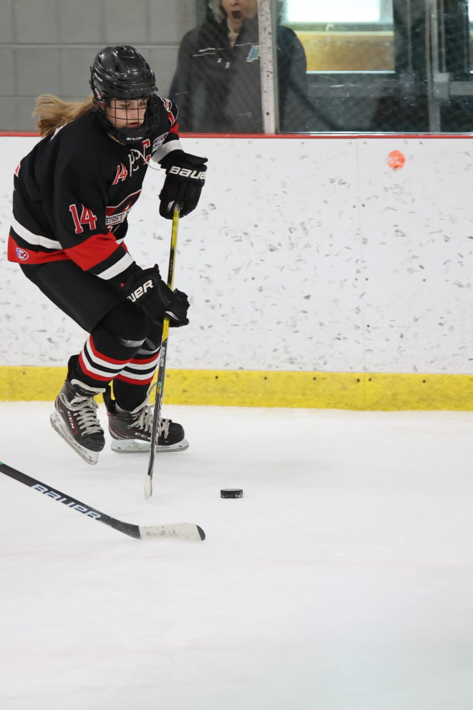 molly amherst skate - Laura DiGiulio